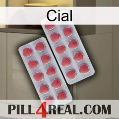 Cial 19